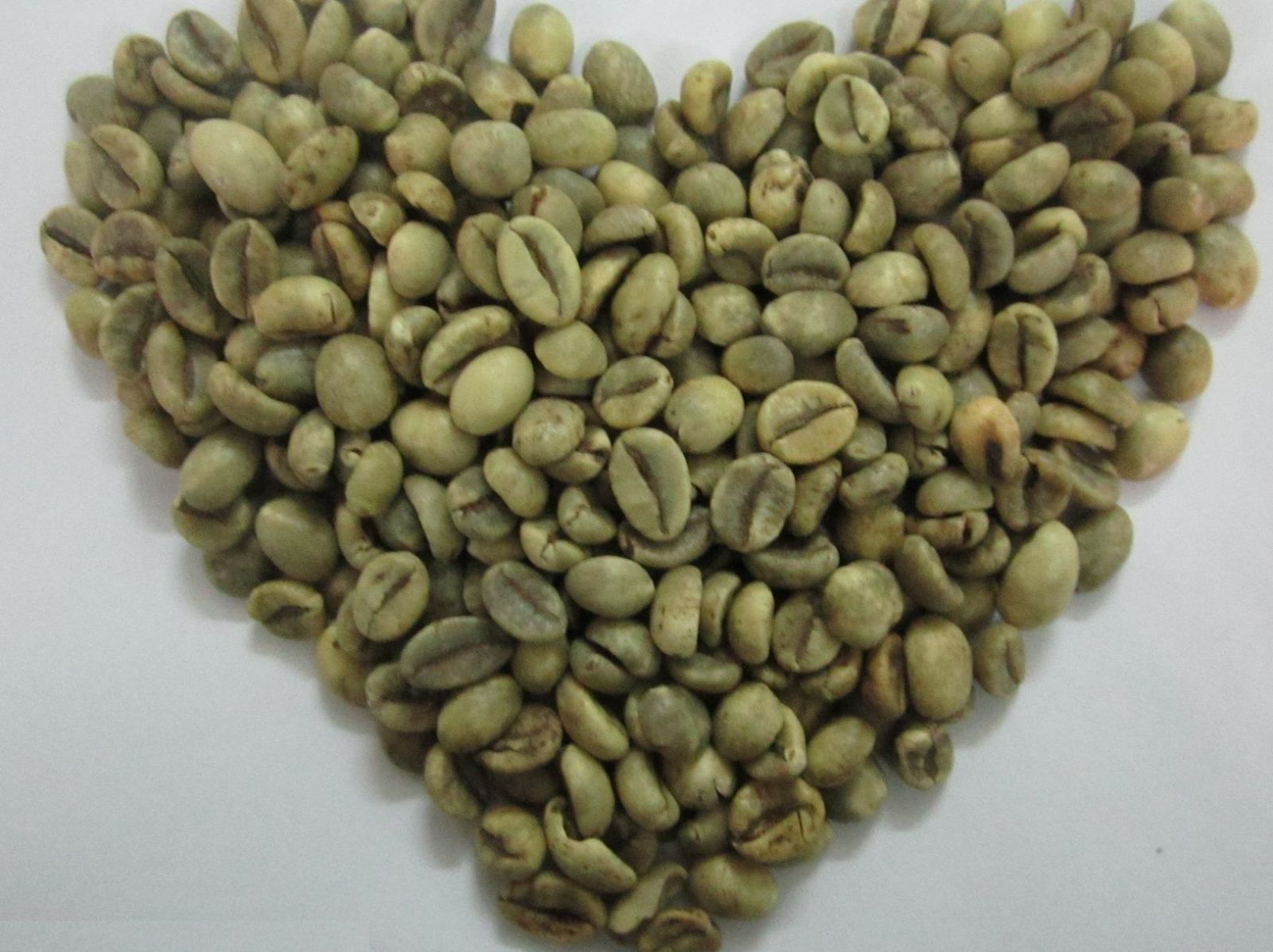WET POLISHED ROBUSTA COFFEE GRADE 1, S 18 